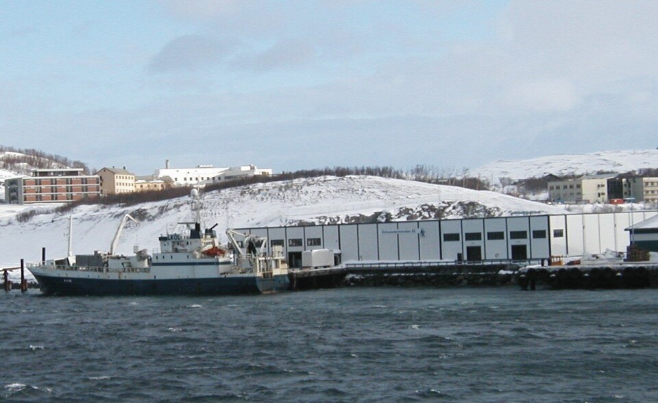 Snøkrabbe og storhavn for Kirkenesterminalen