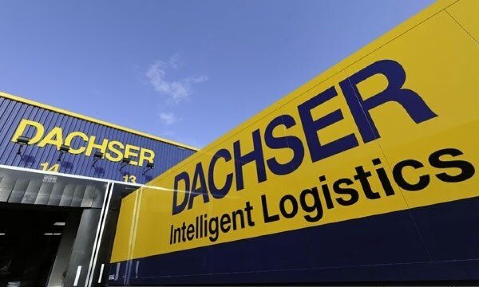 Sterk, norsk Dachser-vekst