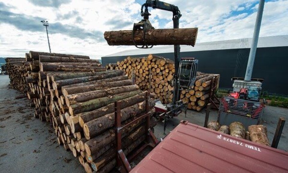 Sender tømmer fra Drammen til Kina