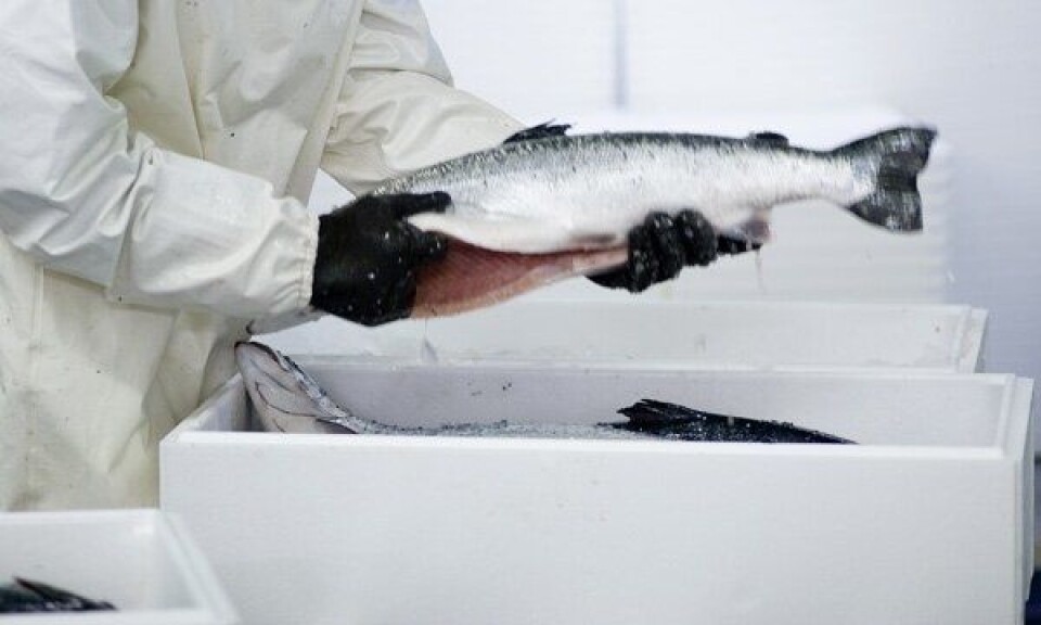 Skal spore fiskekassene