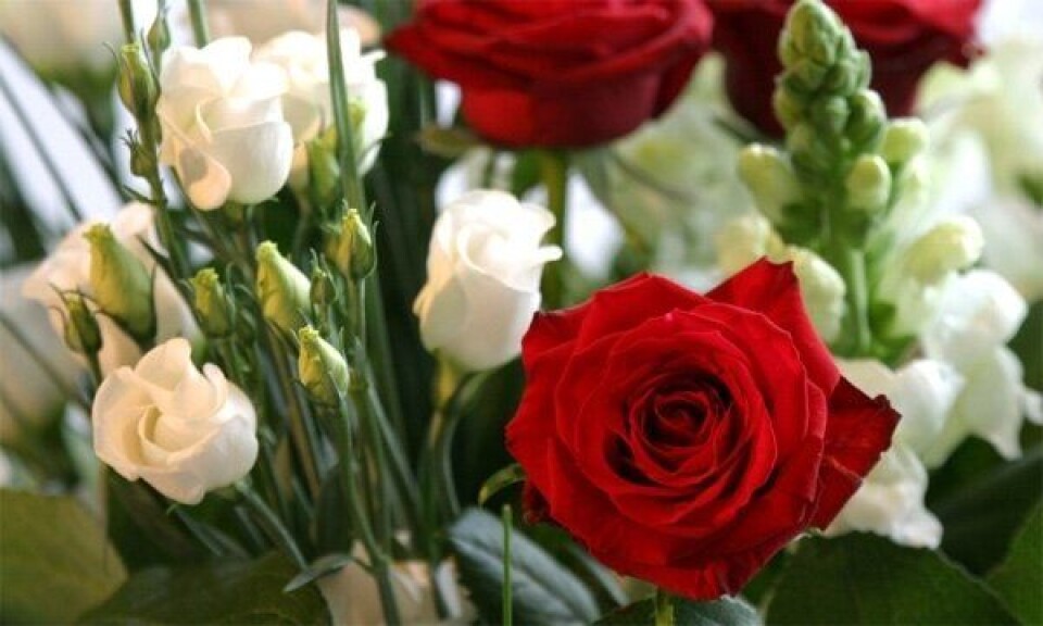 Tastefeil kan koste 64 millioner