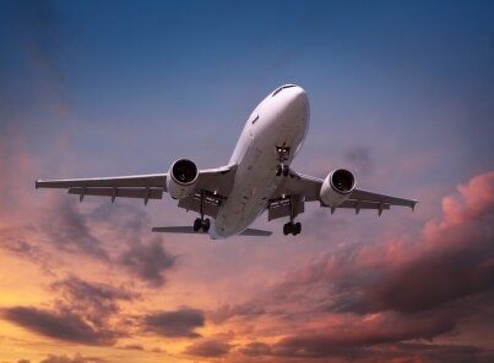 Avinor flyr inn i skogen