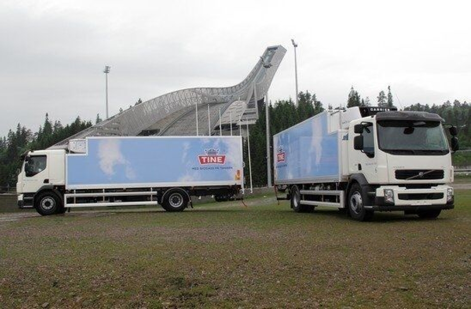 Tine med ”dritt” i tanken
