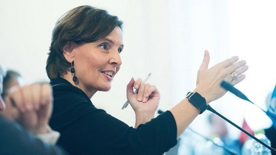 Finske myndigheter med samferdsels- og informasjonsminister Anne Berner i spissen ønsker økonomisk utvikling i Nord-Finland. En jernbane mellom Norge og Finland er et av tiltakene hun tror vil være nyttig.