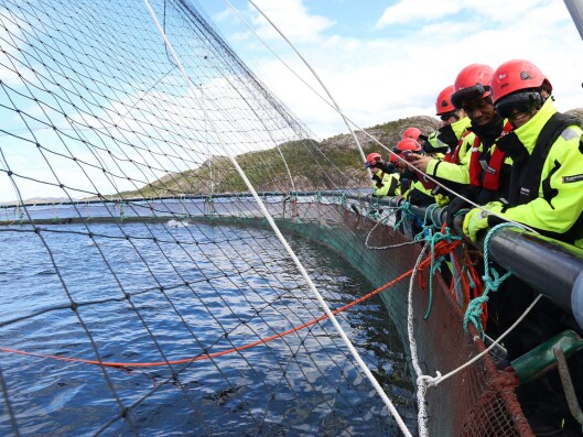 De 25 studentene på «The Seafood Industry Transportation Challenge» ble også kjent med produksjonen av laks, før de planla framtidens transport. De 25 studentene på «The Seafood Industry Transportation Challenge» ble også kjent med produksjonen av laks, før de planla framtidens transport.