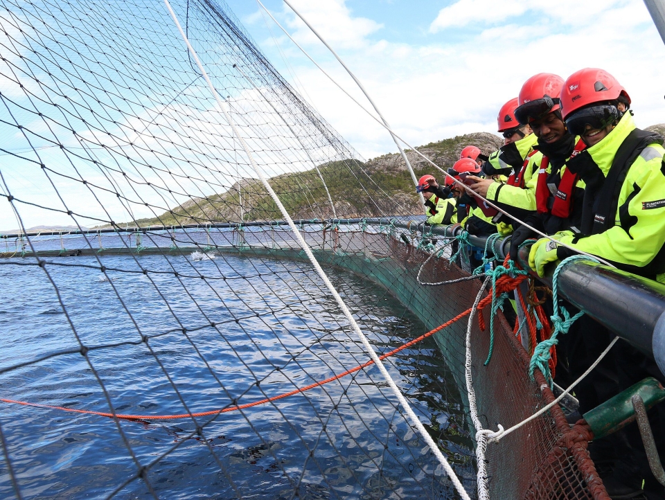 De 25 studentene på «The Seafood Industry Transportation Challenge» ble også kjent med produksjonen av laks, før de planla framtidens transport.