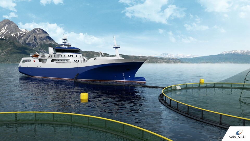 DROPPER LASTEBILEN: Norwegian Gannet skal hente fisk i norske oppdrettsanlegg, slakte dem om bord og frakte den rett til Hirtshals.