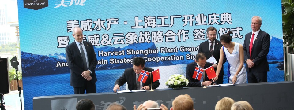 Avtalen mellom Alibaba og Marine Harvest ble signert tidlig torsdag morgen norsk tid i Shanghai.(Foto: Trond Viken / Næringsdepartementet Avtalen mellom Alibaba og Marine Harvest ble signert tidlig torsdag morgen norsk tid i Shanghai.(Foto: Trond Viken / Næringsdepartementet
