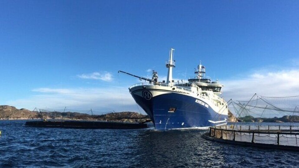 I nydelig vintervær hentet Norwegian Gannet laks opp fra et oppdrettsanlegg like ved Farsund torsdag ettermiddag.