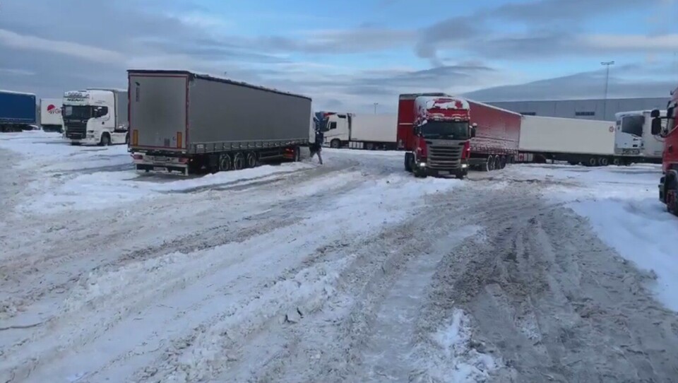 En lang rekke utenlandske biler sto tirsdag morgen snøfast på Fugleåsen. Se NLFs video nederst i saken.
