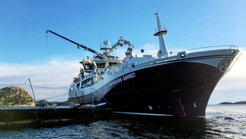 Norwegian Gannet får nå lov til å drive fram til neste sommer.
