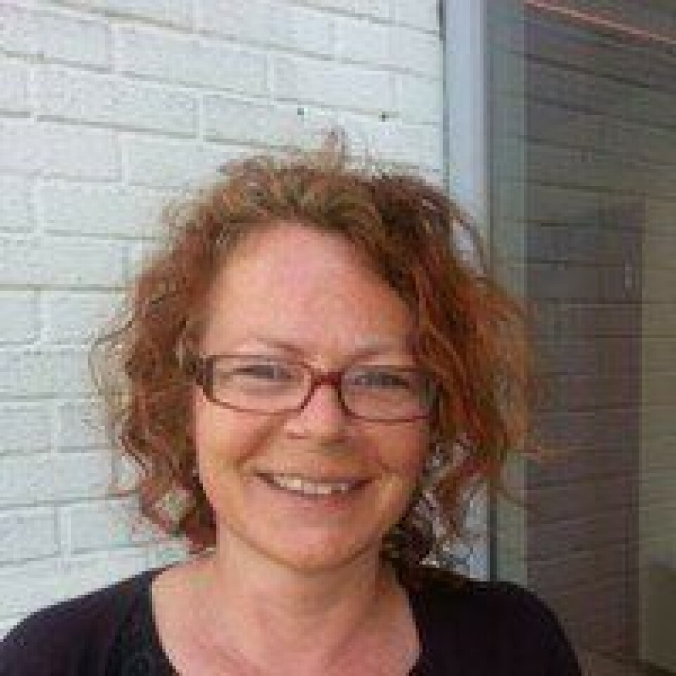 Seniorrådgiver i Jernbanedirektoratet, Hanne Juul.