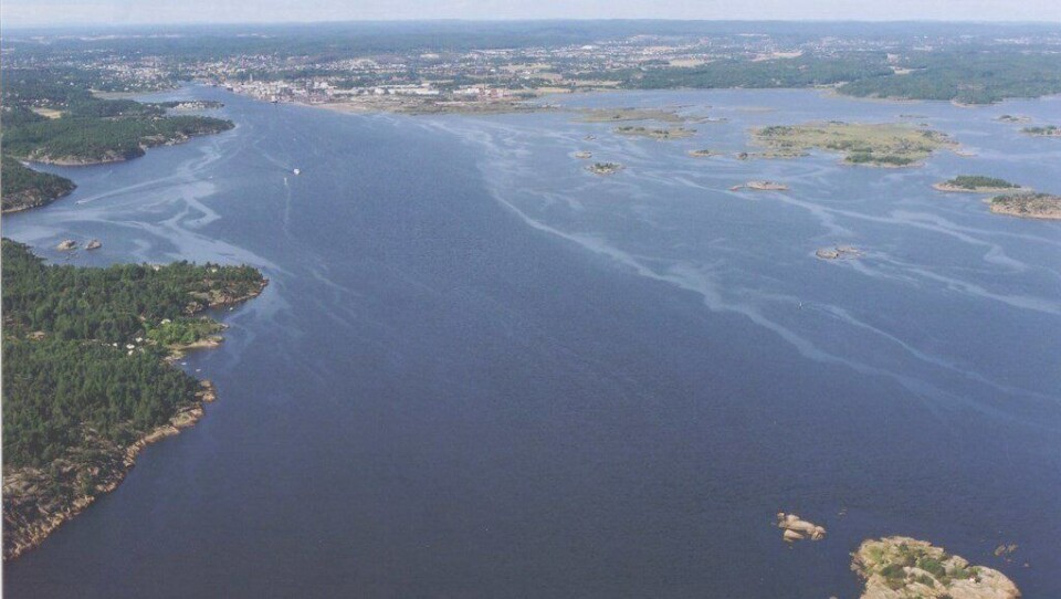 Borg havn er en av 32 stamnetthavner, det vil si hovedhavner for godstransport, i Norge. Regjeringen at mer gods skal fraktes på sjø og bane, da dette er betydelig mer klimavennlig enn transport på vei. Foto: Kystverket.