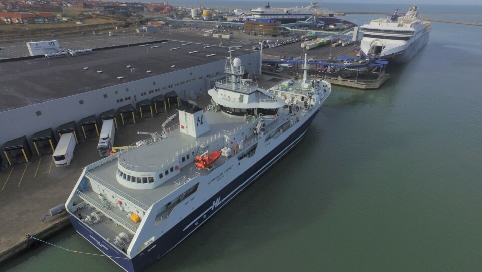 Norwegian Gannet har bidratt med en stor økning i fisketransporten via Hirtshals. Her til kai ved den moderne treminalen.