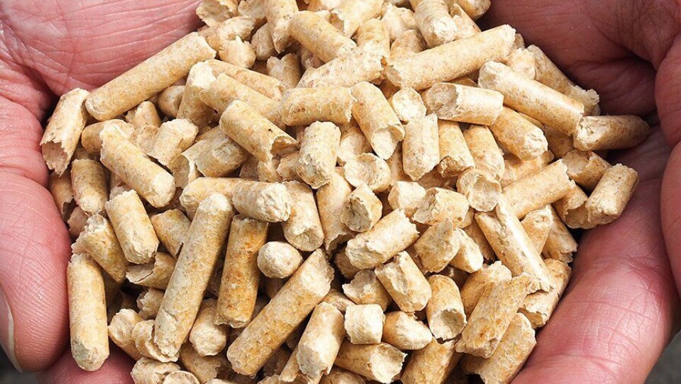 Pellets fra Moelven Pellets AS leveres i bulk til det internasjonale markedet. Foto: Moeleven Pellets.