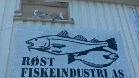 Røst Fiskeindustri er gull verdt for næringsgrunnlaget på en øy ytterst i Lofoten.