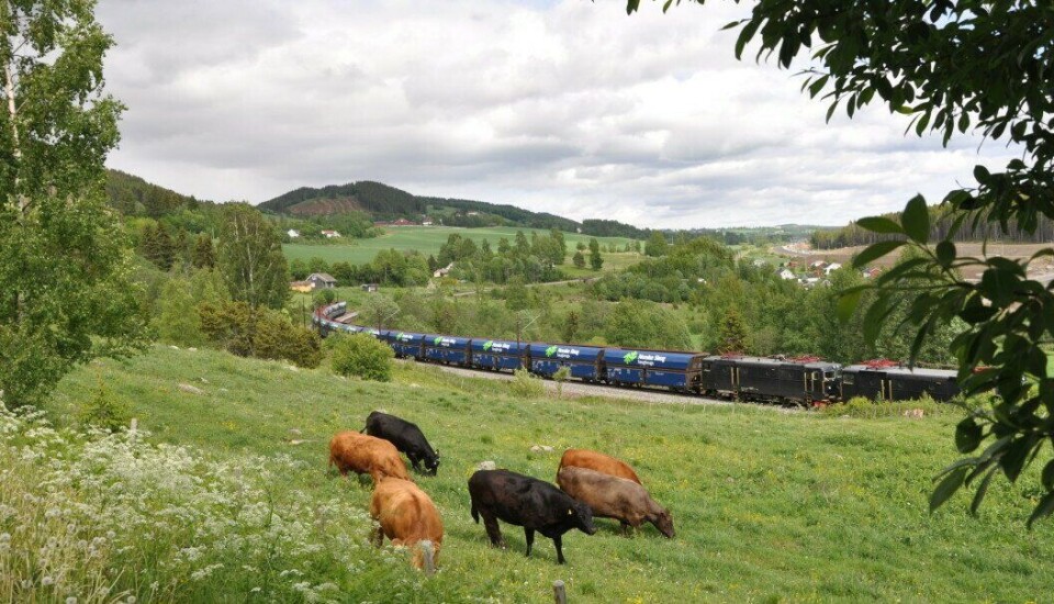 Flis-transport på bane er et viktig bidrag for å nå klima- og miljømålene. Flis-transport på bane er et viktig bidrag for å nå klima- og miljømålene.