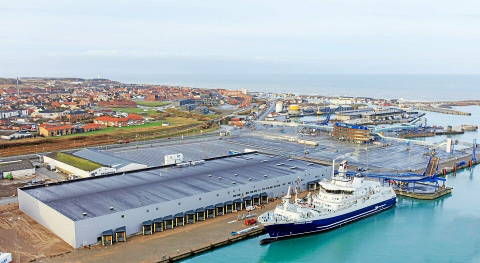 Hav Line har investert nærmere en milliard kroner i skipet Norwegian Gannet og mottaksanlegget ved kaien i Hirtshals.