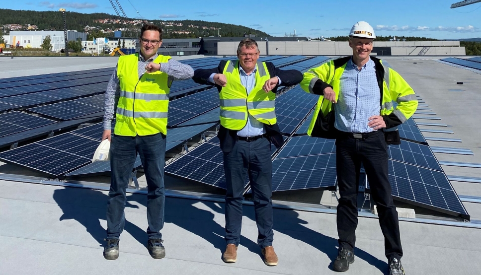 Soler seg, fra venstre: Geir Apeland, Fabritius, Knut Pettersson, OneMed og Thor Christian Tuv, Solenergi FUSen.