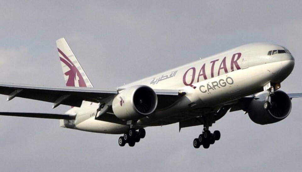 Qatar Airways Cargo lanserer tre ukentlige lakseflygninger fra Evenes 14. desember. (Foto: Qatar)