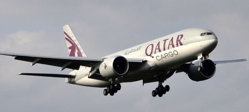 Fiskefly fra nord 14. desember