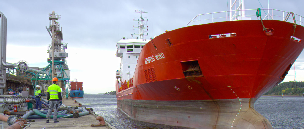 FÅR PROBLEMER: Store skip har problemer med å legge til ved Denofas kai i Borg Havn, der selskapet mottar tusenvis av tonn soyabønner årlig. Foto: Denofa