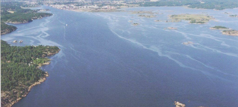 - Mudring i Borg må vente på NTP