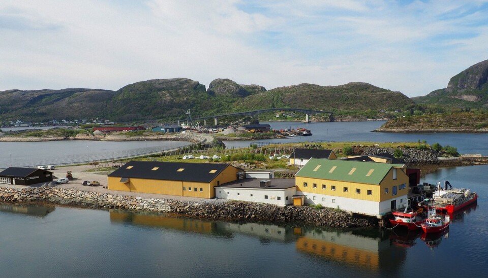 50% av verdens lakseoppdrett foregår i Norge. Ute på Refsnes mellom hav og fjell er Refsnes Laks en sterk bidragsyter. Til høsten starter selskapet bygging Columbi Salmon som på sikt skal produsere minst 80.000 tonn laks årlig på land.