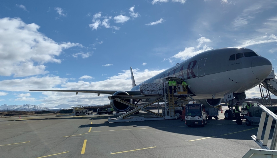 Qatar Airways skal fly to ganger i uken fra Bodø med sjømat.