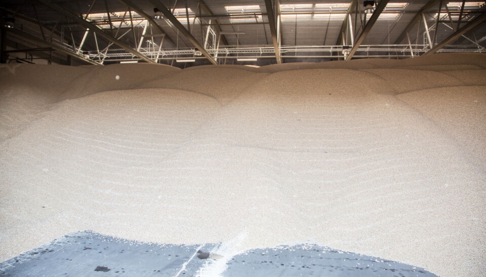 BULK: Det går alle typer gods fra Drammen. Årlig eksporterer Moelven Pellets 80.000 tonn pellets til det europeiske markedet fra Drammen.