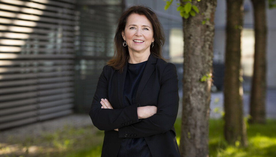 Cathrine Laksfoss, administrerende direktør i Schibsted Ecommerce & Distribution, ser frem til et spennende samarbeid med Bonnier i Sverige. Cathrine Laksfoss, administrerende direktør i Schibsted Ecommerce & Distribution, ser frem til et spennende samarbeid med Bonnier i Sverige.