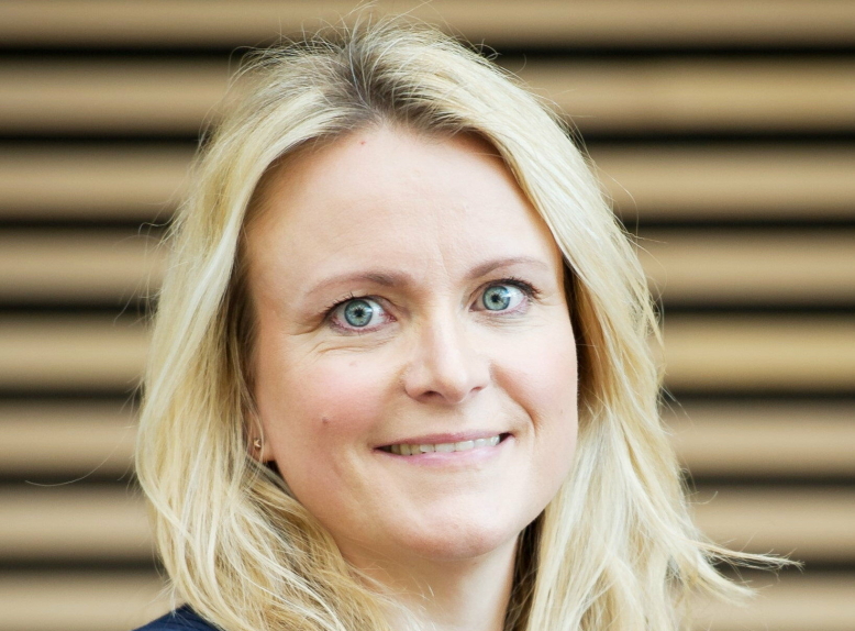 Om artikkelen