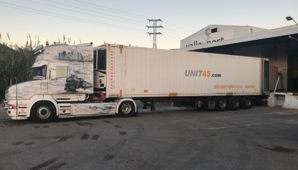 RASK TRANSPORT: Mye fruktproduksjon foregår naturligvis i Syd-Europa. Der lastes produktene i reefer-containere som tar sjøveien til Oslo.