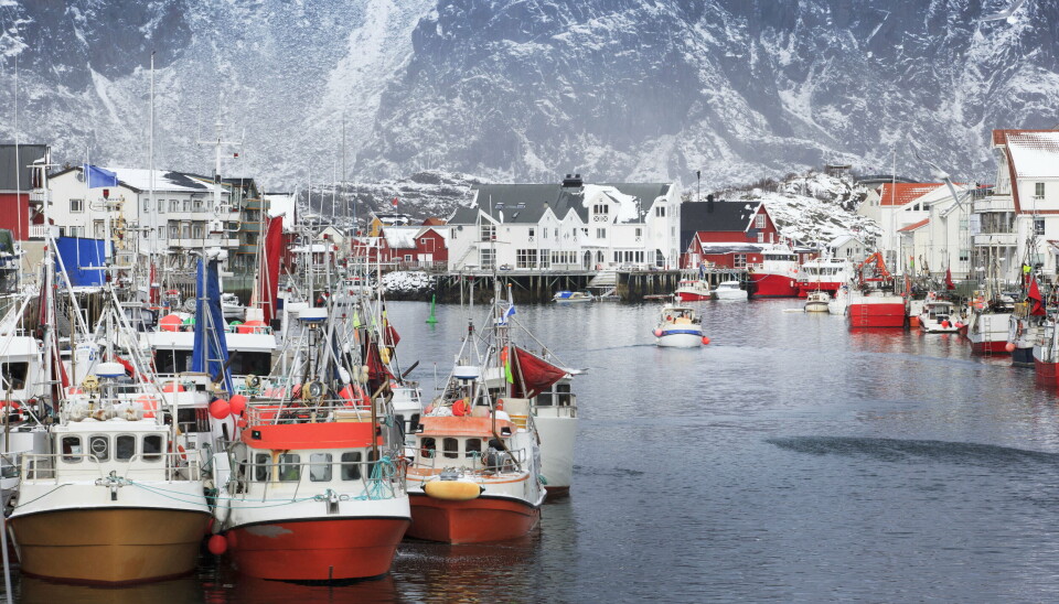PENGER TILGJENGELIG: Fiskebåter i havna i Henningsvær. Fra i år er det igjen mulig å søke støtte til utvikling av fiskerihavner.