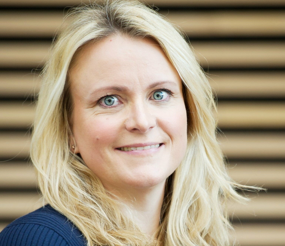Om artikkelen