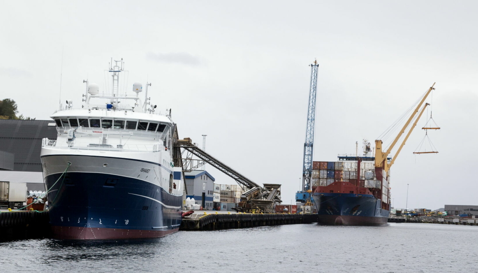 HAVNA ER FOR «ALLE»: Havner har gjennom havne- og farvannsloven plikt til å ta imot fartøy etter gitte regler. Her fra Flatholmen i Ålesund.