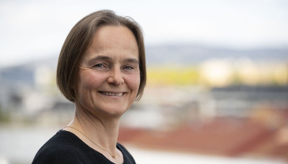 - Digitalisering av havnedata er en forutsetning for å utvikle verktøy som moderniserer og effektiviserer måten havner drives på, sier Hege Berg Thurmann, prosjekteier av “Norsk digital havneinfrastruktur” på vegne av Oslo Havn. - Digitalisering av havnedata er en forutsetning for å utvikle verktøy som moderniserer og effektiviserer måten havner drives på, sier Hege Berg Thurmann, prosjekteier av “Norsk digital havneinfrastruktur” på vegne av Oslo Havn.