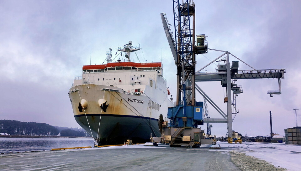 Tidligere i vinter kastet Borg Havn seg rundt og ble bilhavn for en kort stund, da kapasiteten var sprengt i andre havner. Tidligere i vinter kastet Borg Havn seg rundt og ble bilhavn for en kort stund, da kapasiteten var sprengt i andre havner.