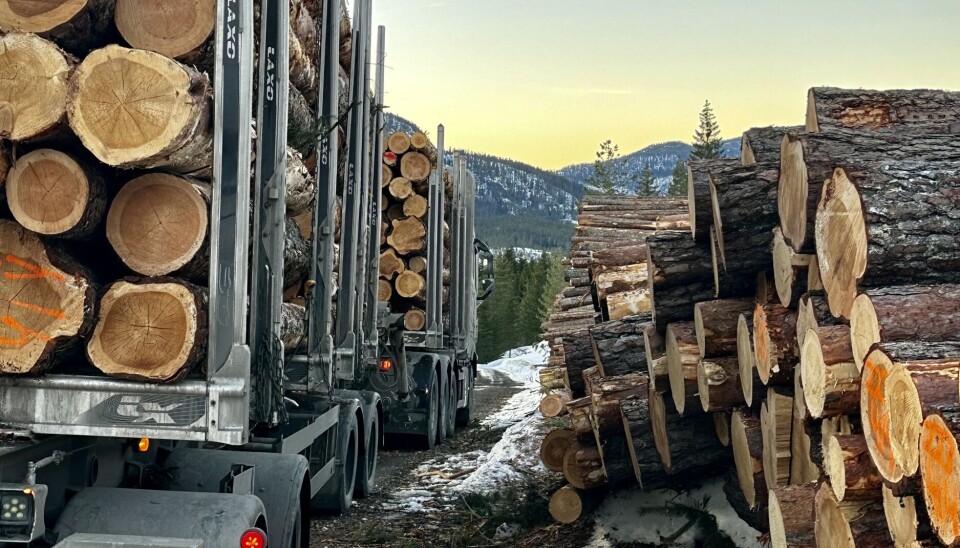 Tømmertransporter er tunge og bilene har et uregelmessig kjøremønster, og egner seg derfor godt for hybrid drift, mener Lasse Bjørkhaug, daglig leder i Brudeli. Tømmertransporter er tunge og bilene har et uregelmessig kjøremønster, og egner seg derfor godt for hybrid drift, mener Lasse Bjørkhaug, daglig leder i Brudeli.