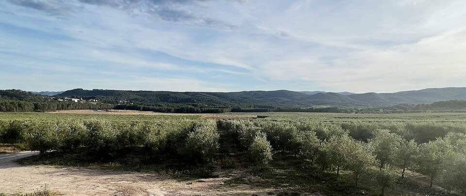ØKOLOGISK ANLEGG: Med litt velvilje kan du bak til venstre for olivenlunden se et område der gården samler organisk avfall og lager kompost og naturlig gjødsel til anlegget.