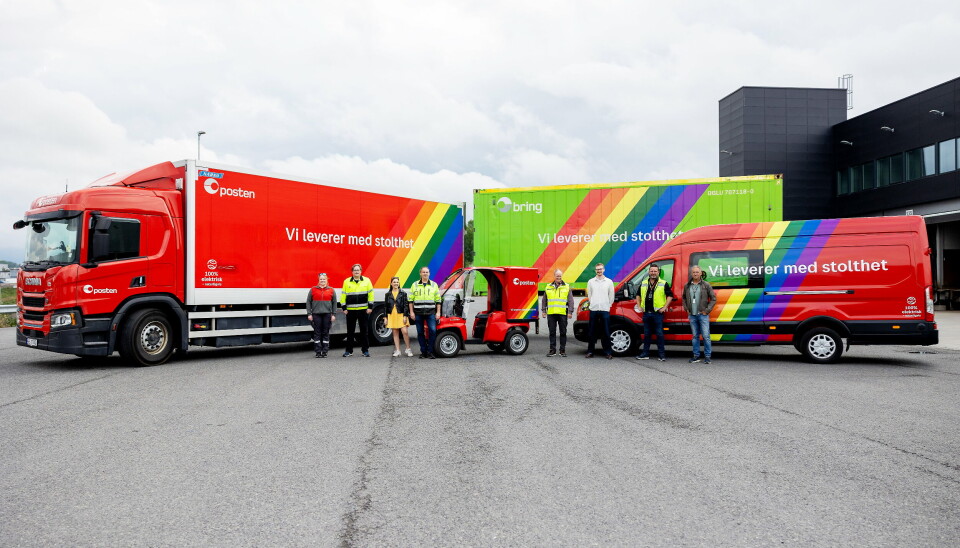 MANGFOLD: Eksempler på biler som kommer til å være på veiene i sommer.