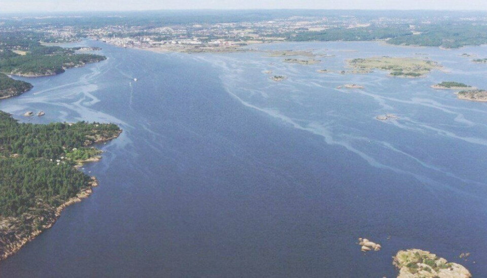 Utbedring av innseilingen til Borg havn har som formål å ta farvannet i Røsvikrenna tilbake til samme standard som etter mudringen i 1995.