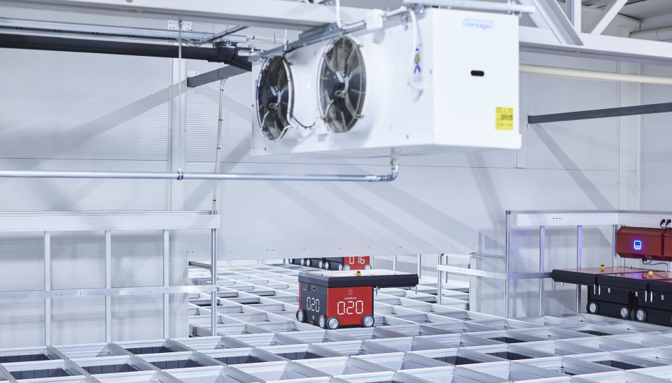 Haugaland Storhusholdning har det første Autostore-anlegget med både kjøle og frys. Må gjøres konseptet tilgjengelig for det bredet markedet.