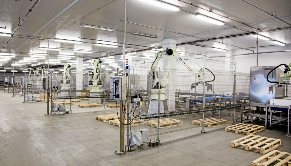 Roboter brukes i mange bransjer, så også i logistikk. Som her fra pakkeriet i en laksefabrikk i Hirtshals.